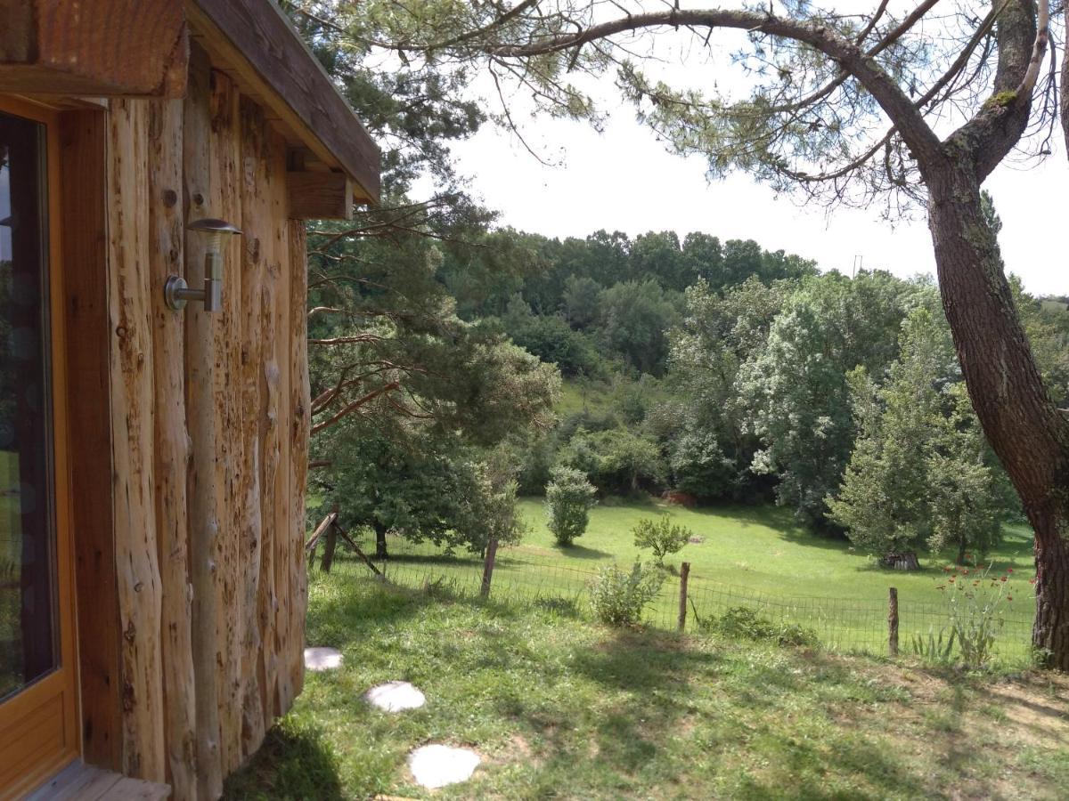 La cabane en bois Villemur-sur-Tarn Extérieur photo