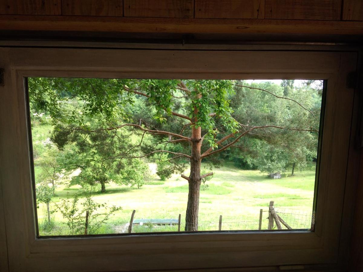 La cabane en bois Villemur-sur-Tarn Extérieur photo