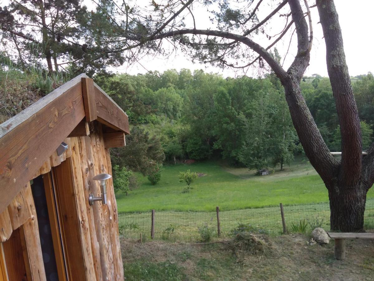 La cabane en bois Villemur-sur-Tarn Extérieur photo