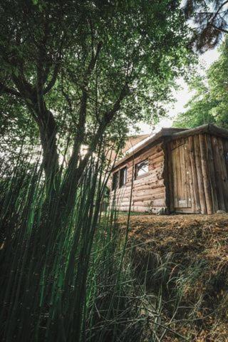 La cabane en bois Villemur-sur-Tarn Extérieur photo